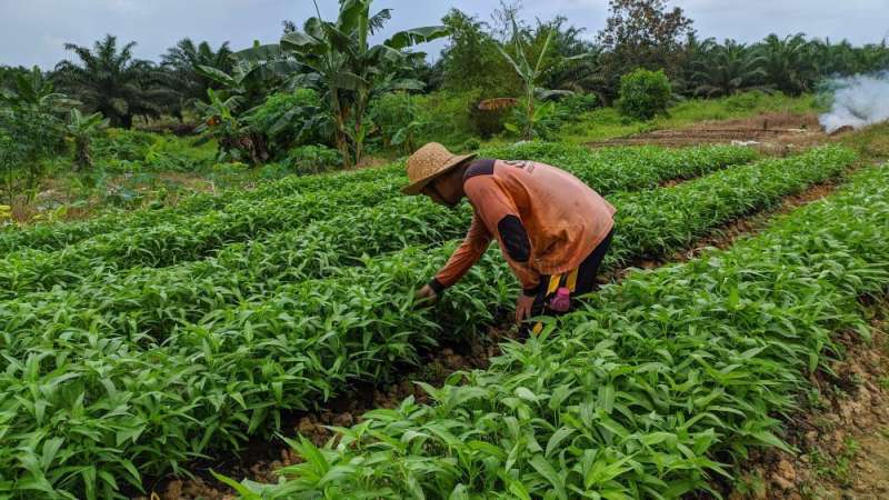 Pondok Pesantren Bisa Bentuk Holding Bisnis