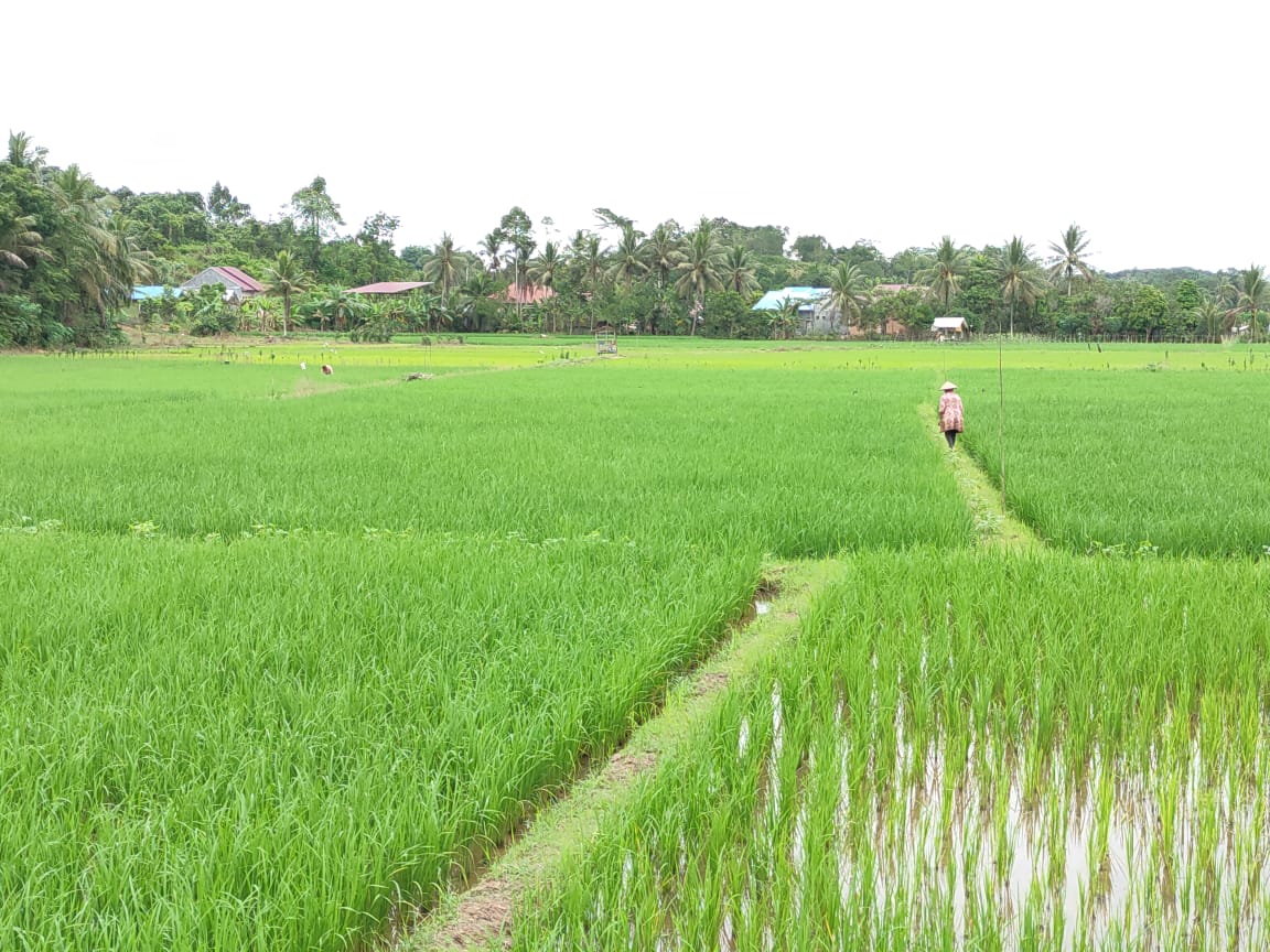 Parlemen Kaltim Monitoring Kebijakan Pertanian