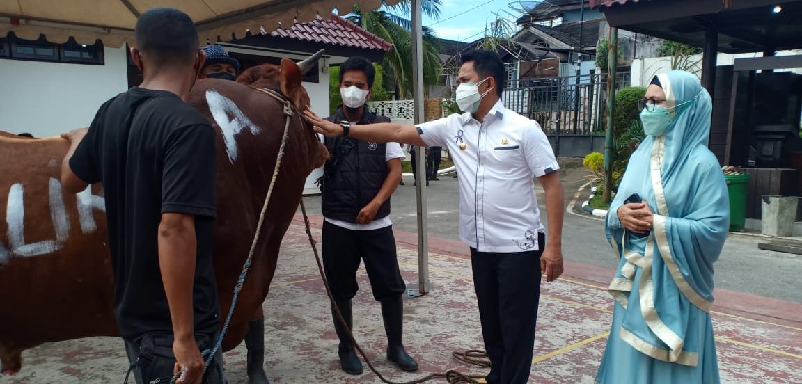 Keluarga Bani Mas’ud Bagi 400 Ekor Sapi di Hari Raya Kurban