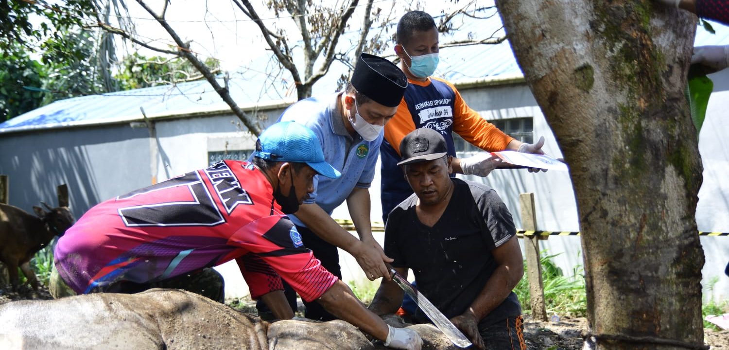 Hobi Unik Wagub Kaltim Hadi Mulyadi