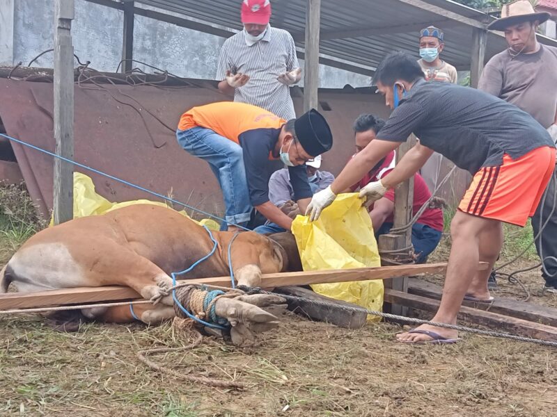 Pemkab Kukar Izinkan Potong Hewan Kurban di Lingkungan Masing-Masing