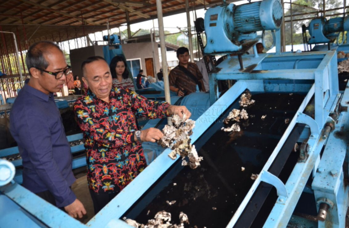 Harga Getah Karet di Kubar Sudah Tinggi, Tapi Produksinya Terancam Merosot