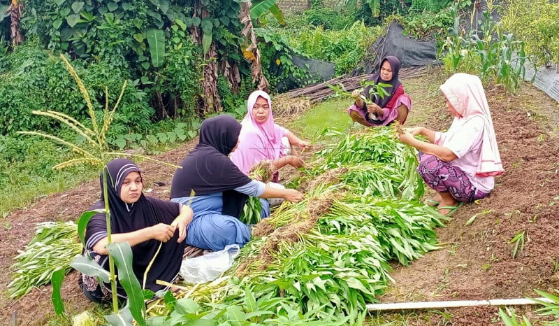 Kaltim Gencarkan Pencegahan Stunting Lewat Urban Farming