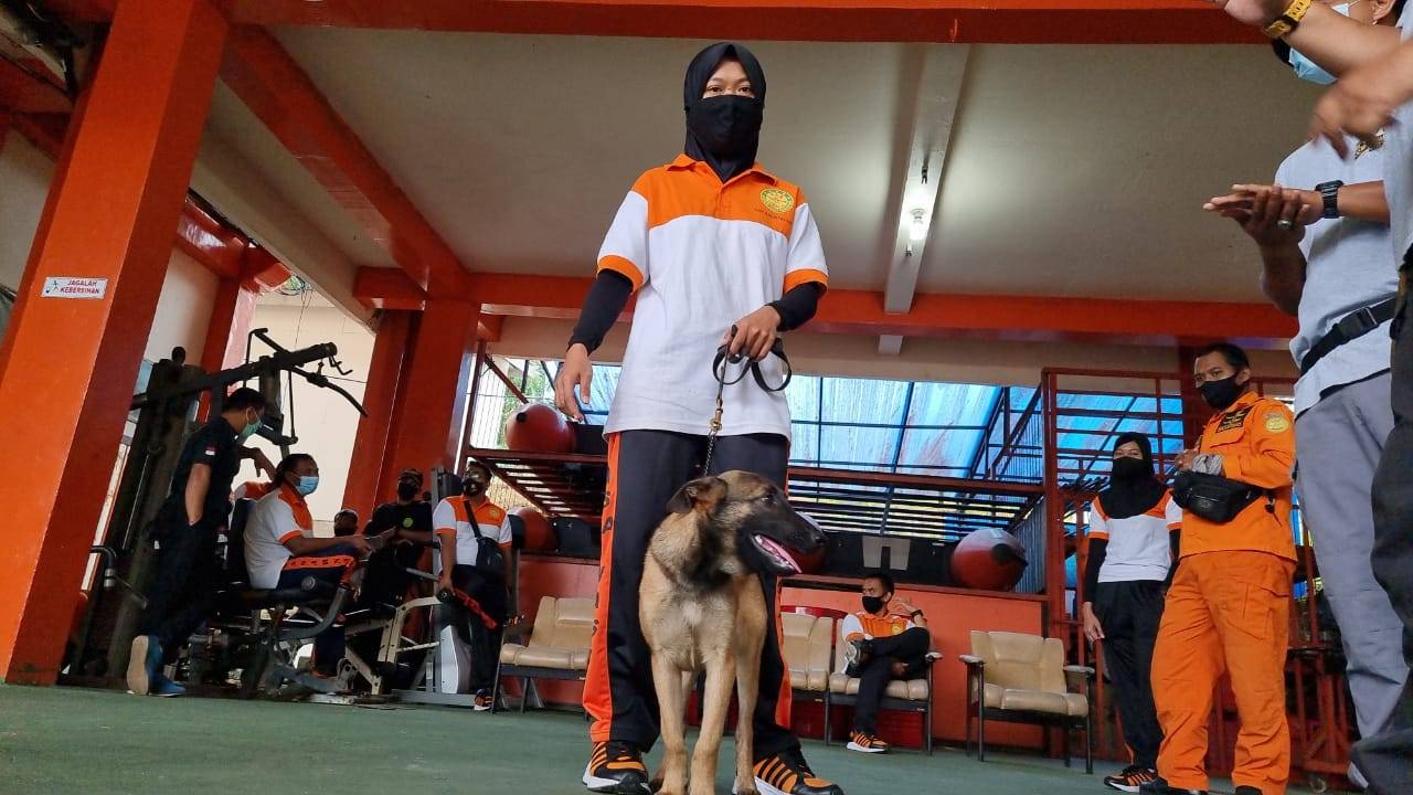 Basarnas Kaltim Punya SAR Dogs, Bantu Misi Kemanusiaan