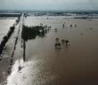 Pasca Banjir Babulu, Petani Gagal Panen