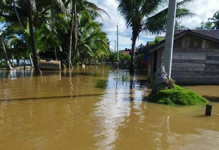 Banjir di Kubar Mulai Meluas, BPBD Sebut Baru 1 Kecamatan yang Lapor