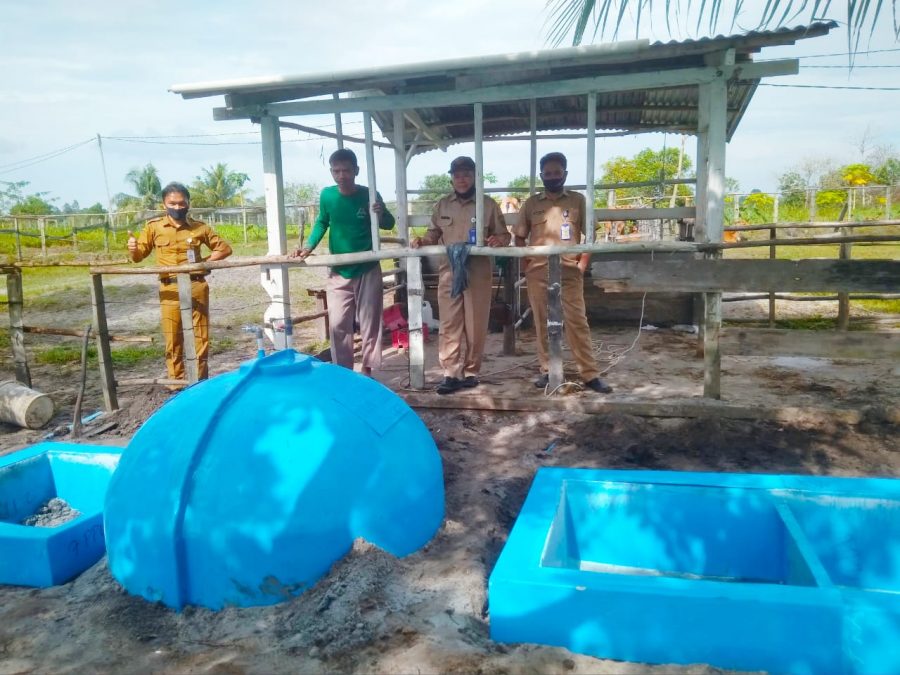 PPU Manfaatkan Kotoran Sapi Jadi Biogas; Ramah Lingkungan, Bisa untuk Masak dan Penerangan