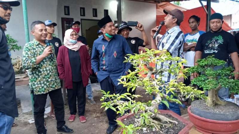 Wakil Bupati PPU Meriahkan Lelang Bonsai