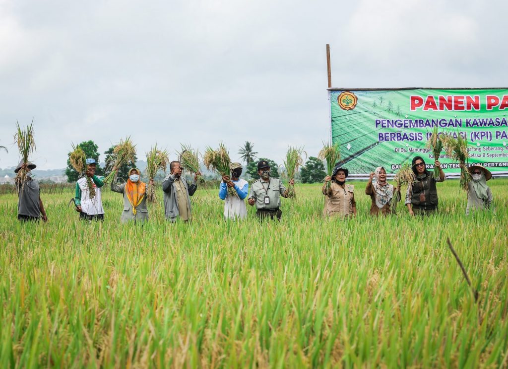 Tingkatkan Produktivitas Padi, Kembangkan Kawasan Pertanian Berbasis Inovasi