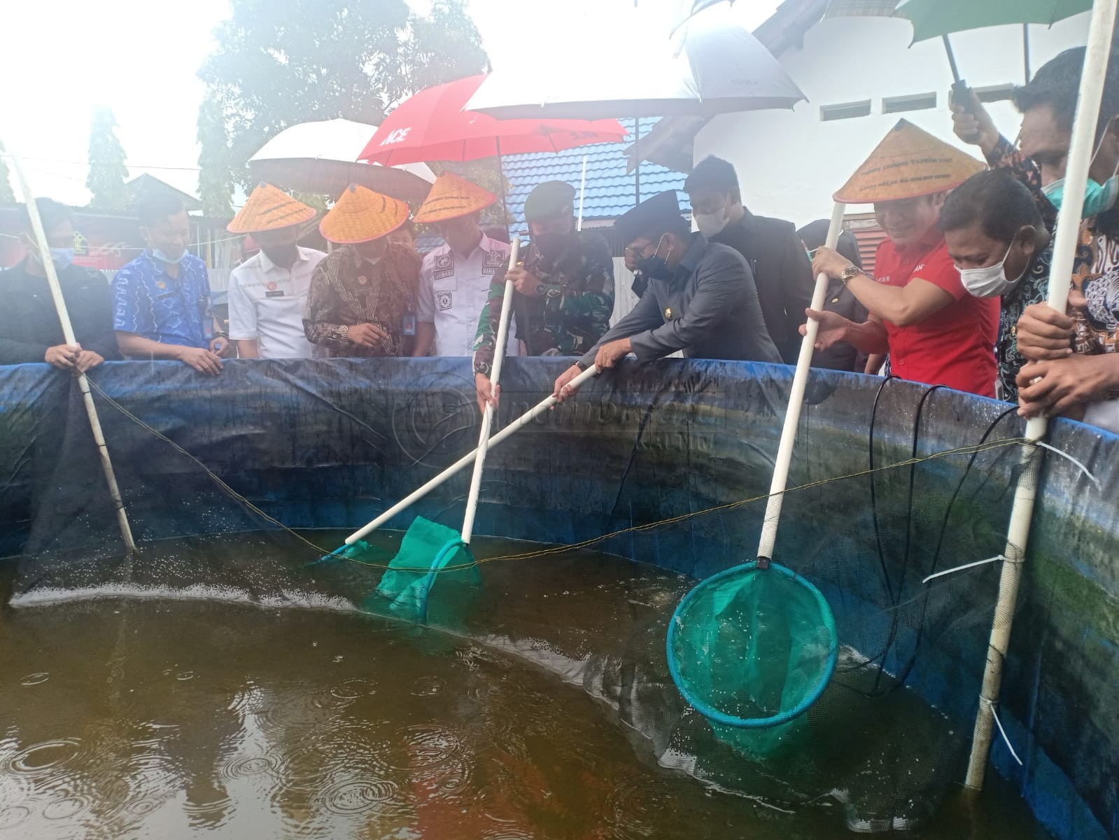 Budidaya Udang, Pemkot Balikpapan Ajak Warga Berinovasi