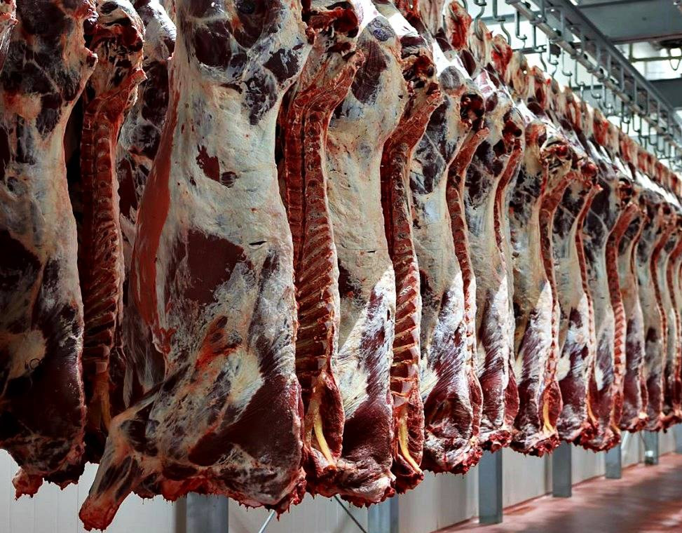 Badan Pangan: Impor 100 Ribu Ton Daging Kerbau Tiba Bulan Ini