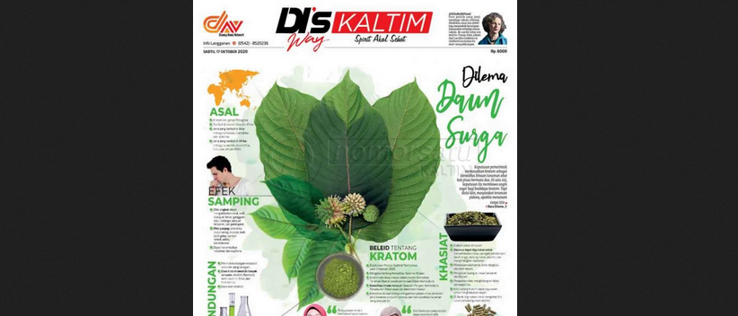 Kratom, Dilema Daun Surga