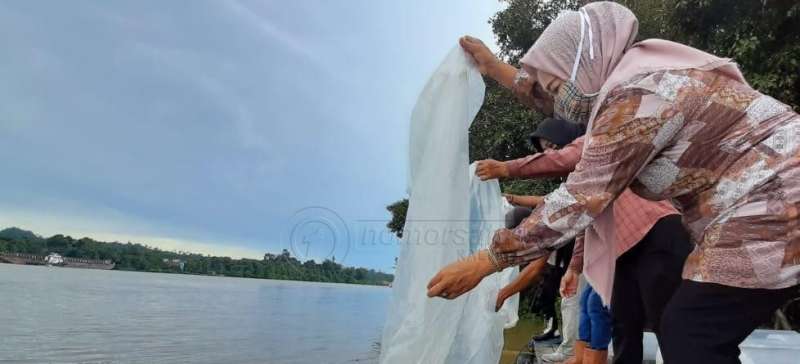 Jaga Ekosistem Sungai Segah