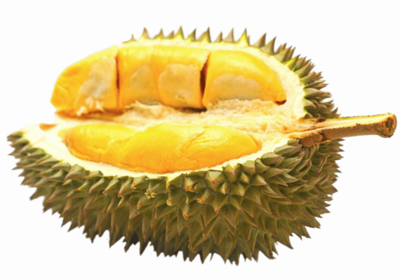 Durian Kemauan