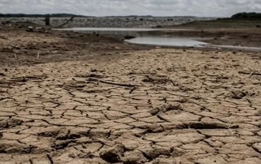 Hadapi El Nino Kementan Identifikasi Lahan