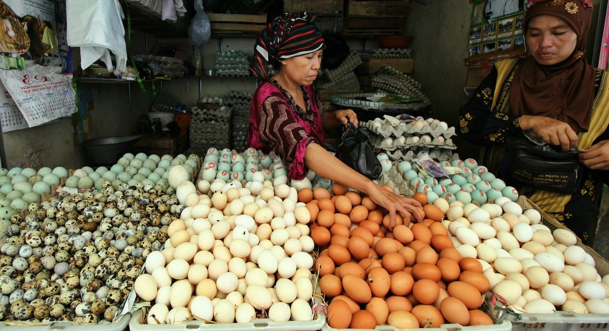 Harga Bahan Pokok di Balikpapan Mulai Normal