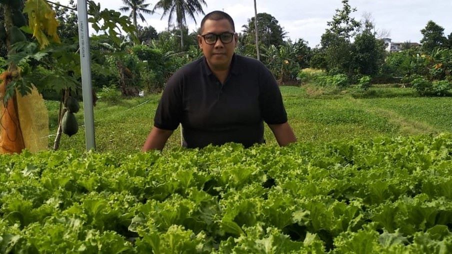 Permintaan Sayur Hidroponik di Kaltim Meningkat Saat PSBB