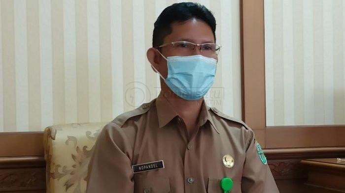 Formasi Guru CPNS di Kubar Nihil, Khusus PPPK Saja