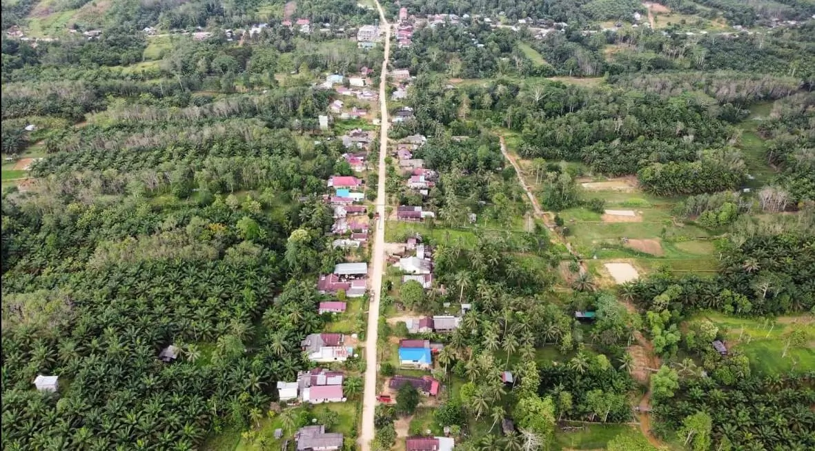 1.375 Peserta Ikut Tender Bangun IKN Nusantara