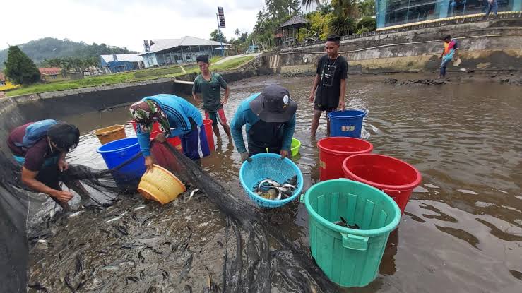 Mayoritas Kebutuhan Ikan Kaltim Didominasi dari Kukar