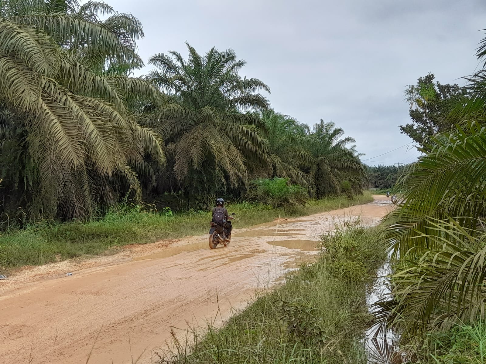 Wilayah Pedalaman Kutai Timur Keluhkan Jalan Rusak pada Musrenbang 