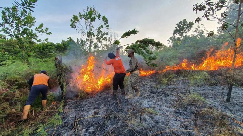 Fenomena El Nino, BPBD Samarinda Siaga Cegah Kebakaran Lahan