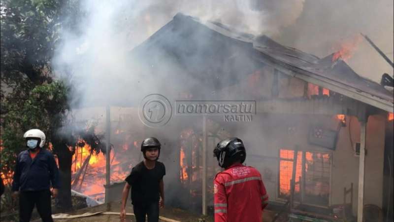 Si Jago Merah Mengamuk di Gang 3B RT 35 Air Hitam