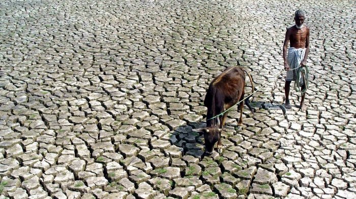 100 Juta Warga Miskin di India Hadapi Bencana Kekeringan