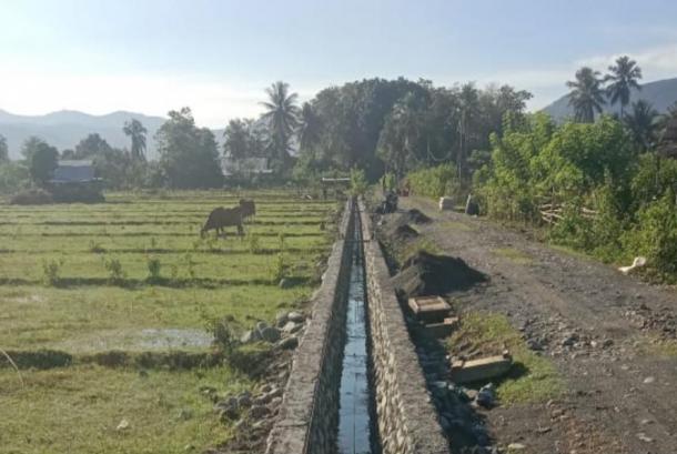 Genjot Indeks Pertanaman, Kementan Salurkan Bantuan Pengairan