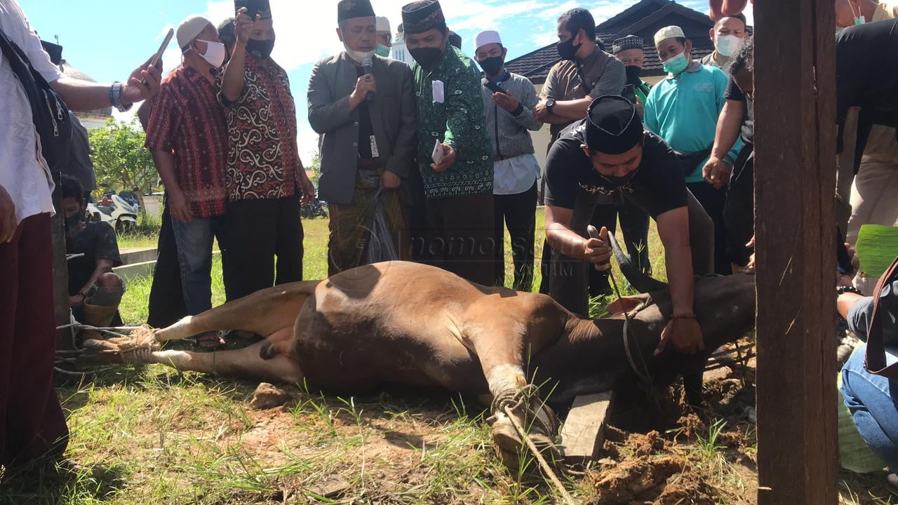 Jelang Iduladha, Pengurus Masjid di Kubar Dibekali Pelatihan Penyembelihan Hewan Kurban