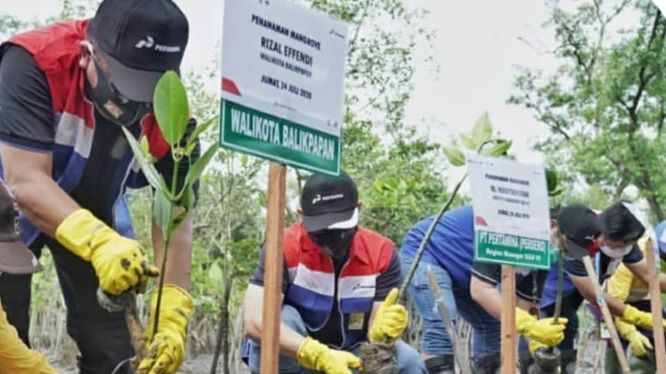 Kementerian LHK Siapkan 10 Juta Bibit Mangrove untuk IKN