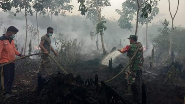 Lahan Gambut Masih Jadi Momok Karhutla di PPU