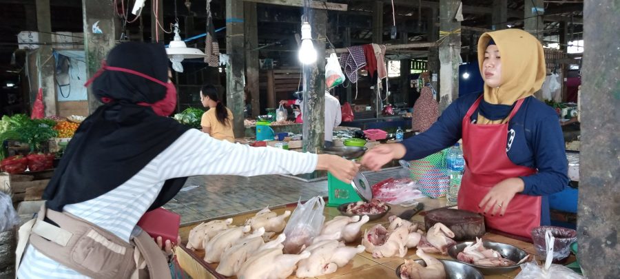 Suplai dari Luar Daerah Kurang, Harga Ayam Potong di PPU Melonjak