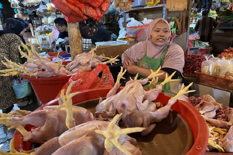 Jelang El Nino, Badan Pangan Klaim Harga Stabil