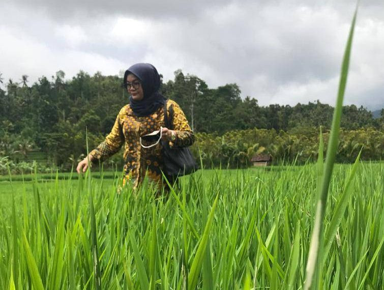 Wakil Rakyat Mahulu Setuju Pembangunan Pertanian di 50 Kampung