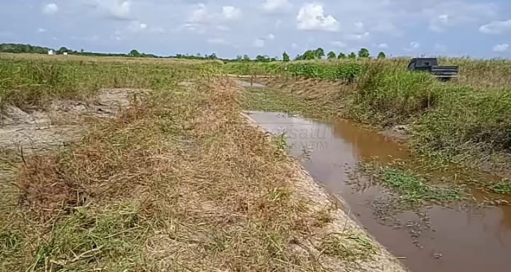 Lahan Pertanian Dibayangi Banjir, Desa Sebakung Perlu Pintu Air