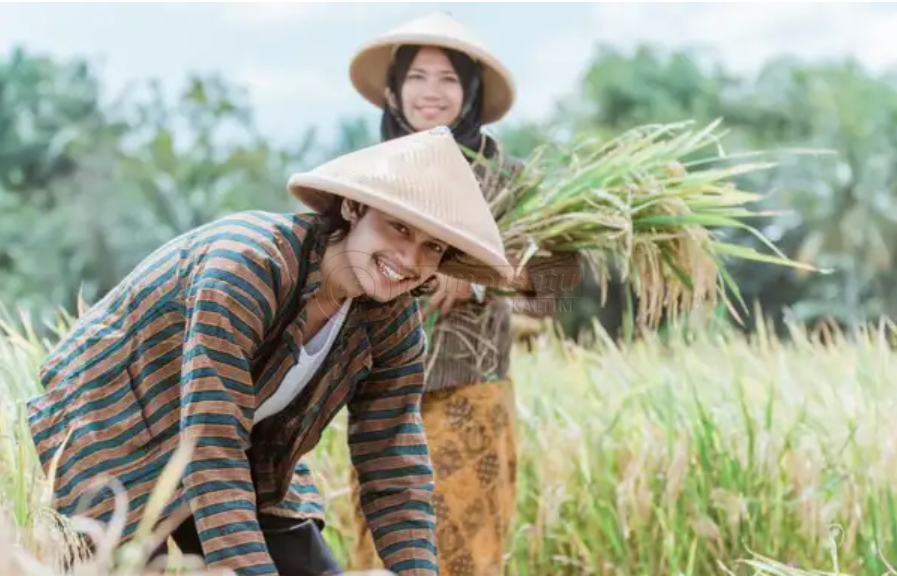 Peneliti: Urbanisasi Ancam Regenerasi Petani