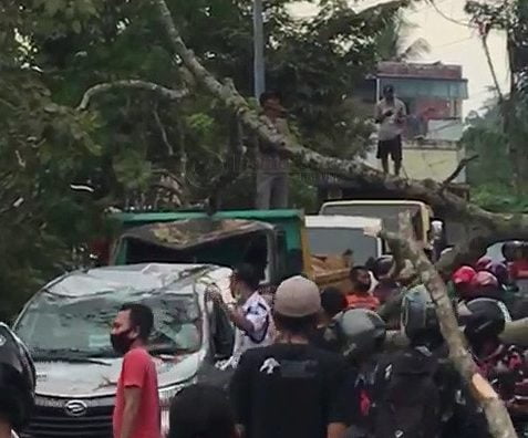 Pohon Besar Mendadak Tumbang, Timpa Kendaraan, Satu Pengendara Terluka