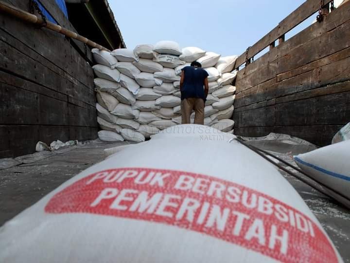 Lika-Liku Masalah Pupuk; Subsidi Dibatasi, Nonsubsidi Ikut Naik