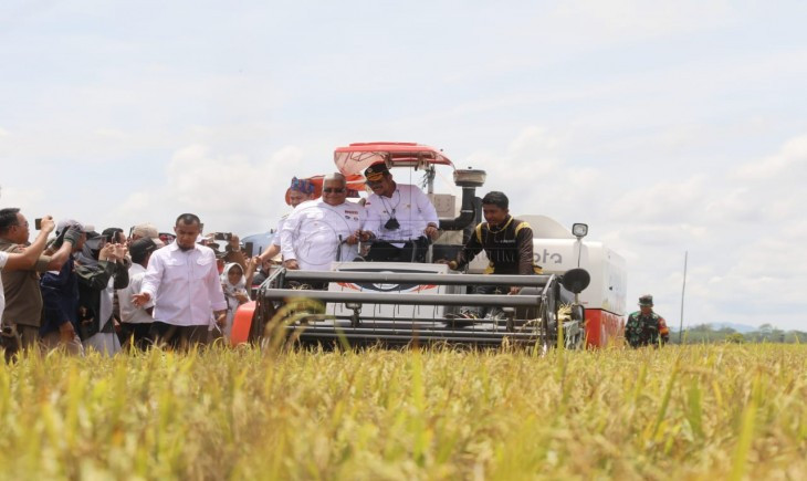 Bulan Depan Kementan Panen Raya