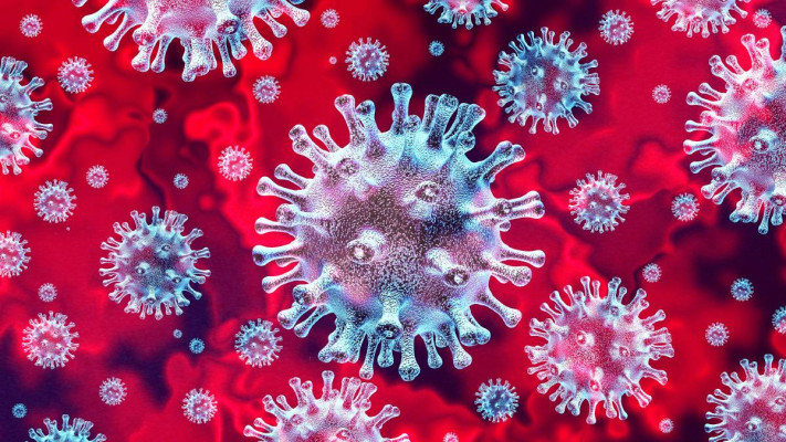 Kebal Virus