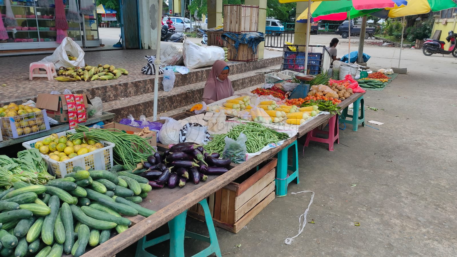 Musim Hujan Pengaruhi Harga Sayur di Kukar