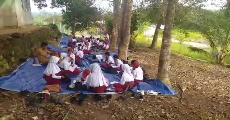 Ruang Belajar Kurang, Siswa SD Belajar di Bawah Pohon, Kepala Disdikbud: Enggak Masalah!