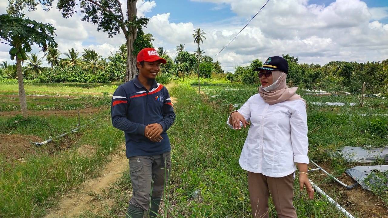 Urai Masalah Petani, Sujiati Konsen Soal Pengapuran dan Peningkatan Kapasitas Penyuluhan