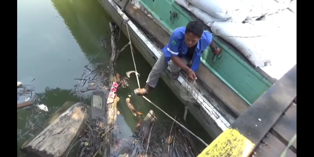 Sungai Segah Menghijau Lagi