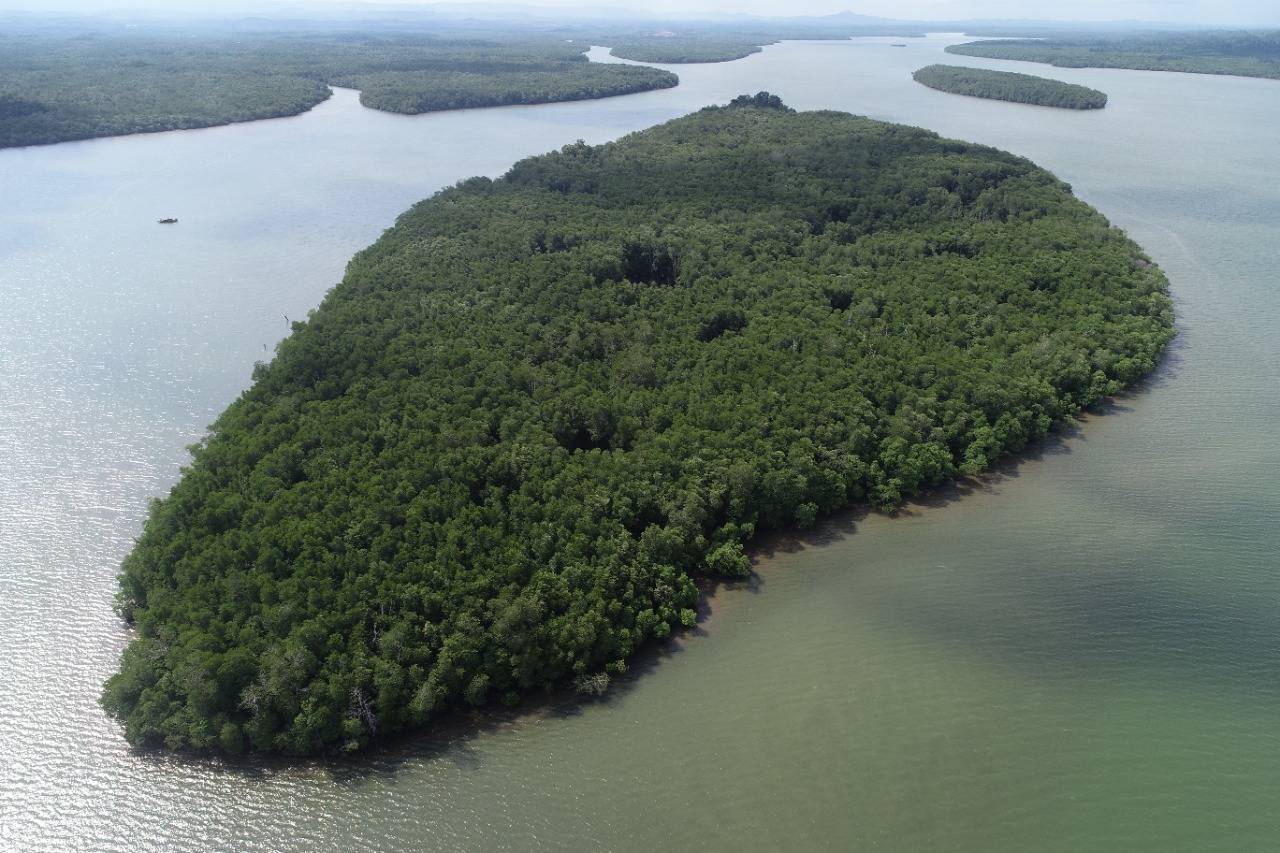 Teluk Balikpapan Didorong Jadi Kawasan Konservasi