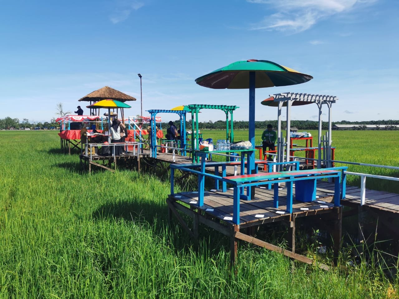 Andalkan Dana Desa, Desa Gunung Mulia Sulap Sawah Jadi Destinasi Wisata